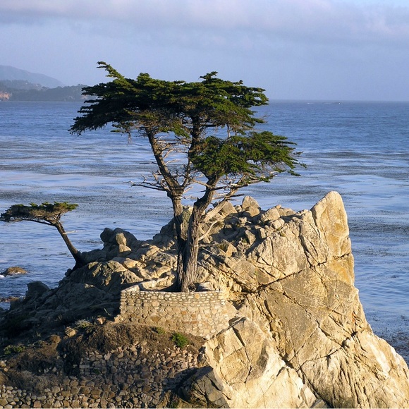 Meet your Posher, Janice - Picture 13 of 17